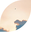 huu-thong-5DvpPu5i1PQ-unsplash 1 huu-thong-5DvpPu5i1PQ-unsplash 1